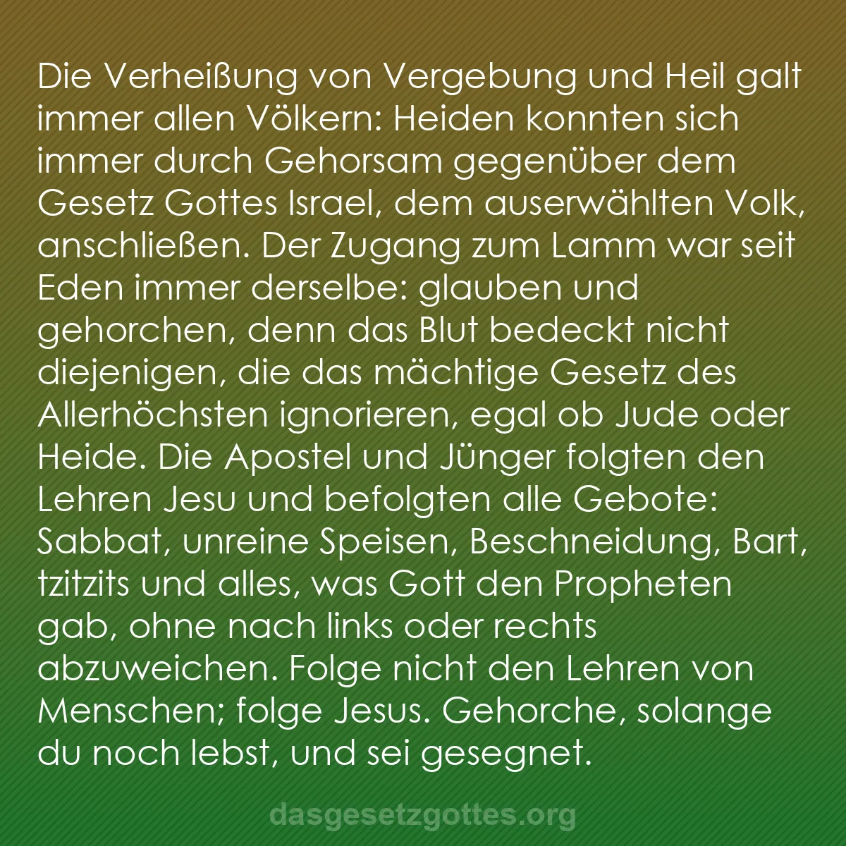 b0016 - Beitrag über das Gesetz Gottes: Die Verheißung von Vergebung und Heil galt immer allen Völkern:...