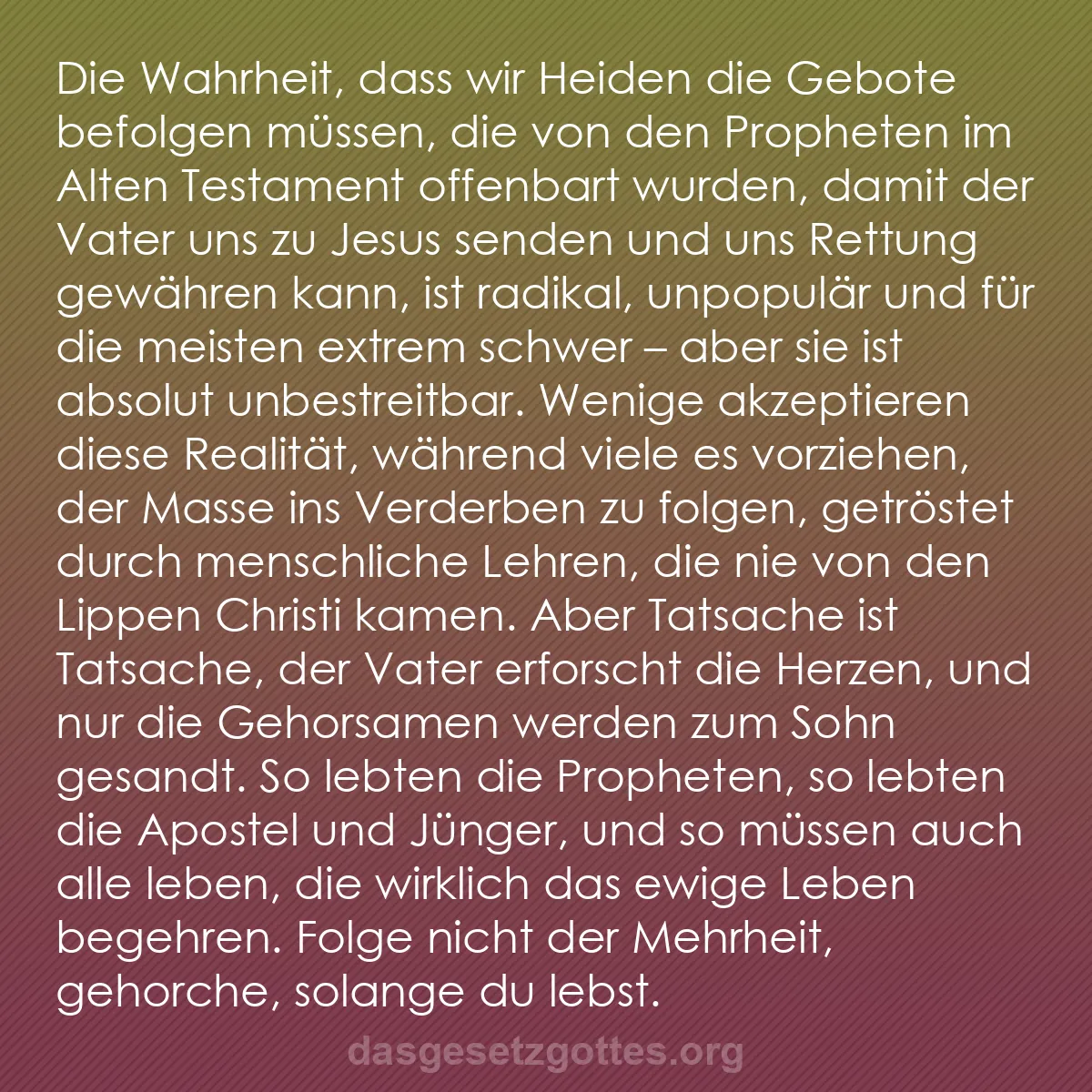 b0028 - Beitrag über das Gesetz Gottes: Die Wahrheit, dass wir Heiden die Gebote befolgen müssen, die...