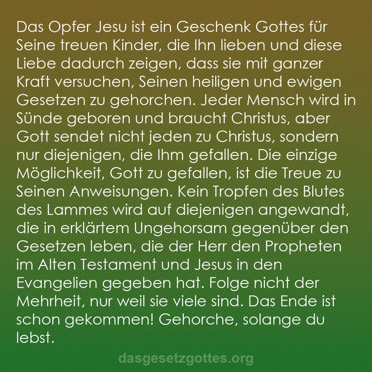 b0056 - Beitrag über das Gesetz Gottes: Das Opfer Jesu ist ein Geschenk Gottes für Seine treuen Kinder,...