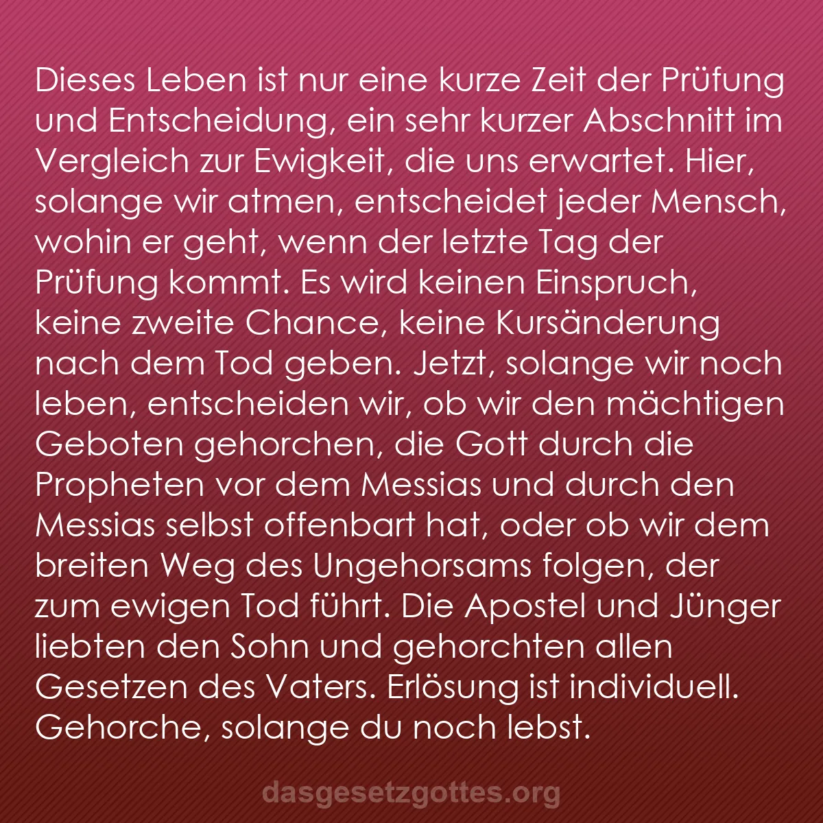 b0079 - Beitrag über das Gesetz Gottes: Dieses Leben ist nur eine kurze Zeit der Prüfung und Entscheidung,...