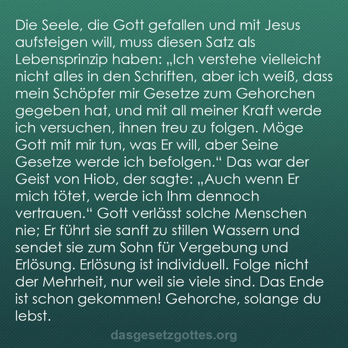 b0100 - Beitrag über das Gesetz Gottes: Die Seele, die Gott gefallen und mit Jesus aufsteigen will,...