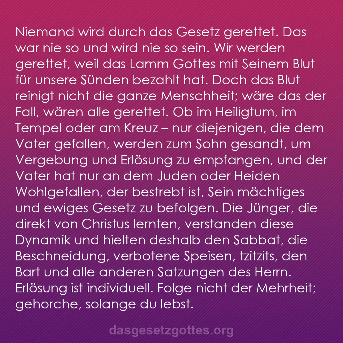 b0101 - Beitrag über das Gesetz Gottes: Niemand wird durch das Gesetz gerettet. Das war nie so und wird...