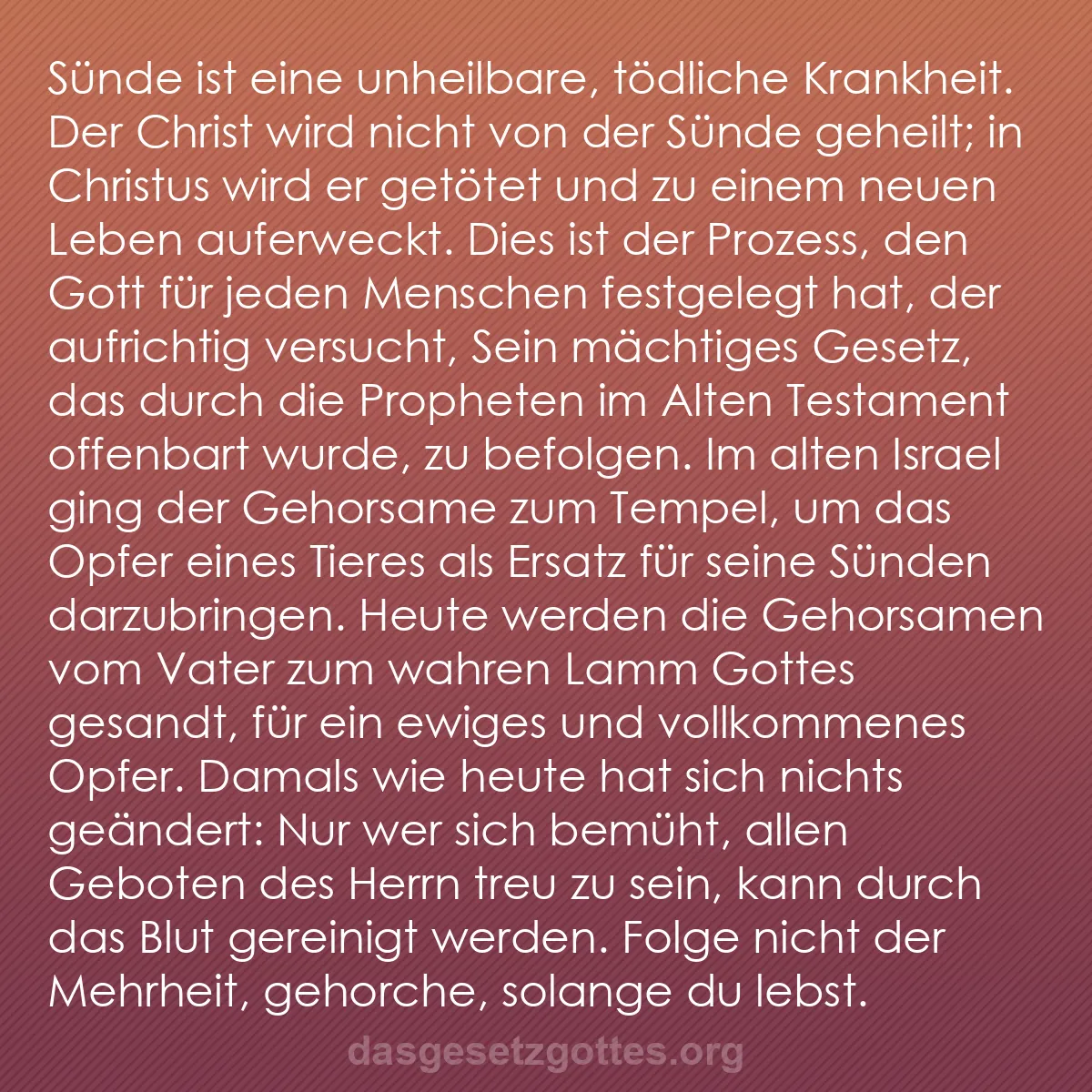 b0186 - Beitrag über das Gesetz Gottes: Sünde ist eine unheilbare, tödliche Krankheit. Der Christ wird...