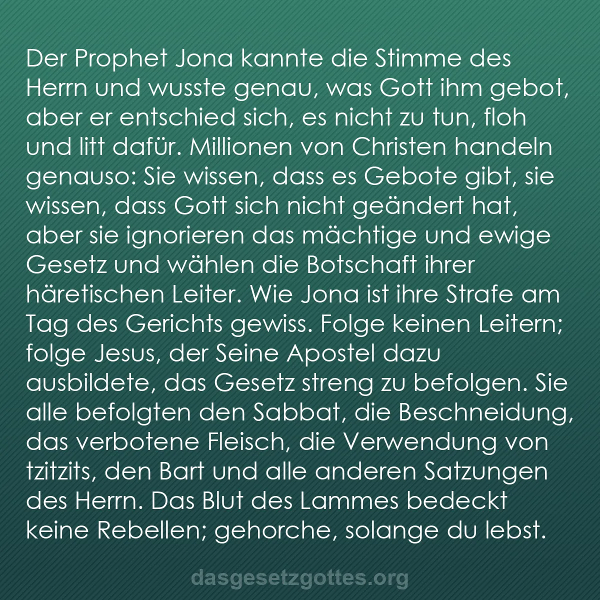 b0240 - Beitrag über das Gesetz Gottes: Der Prophet Jona kannte die Stimme des Herrn und wusste genau,...