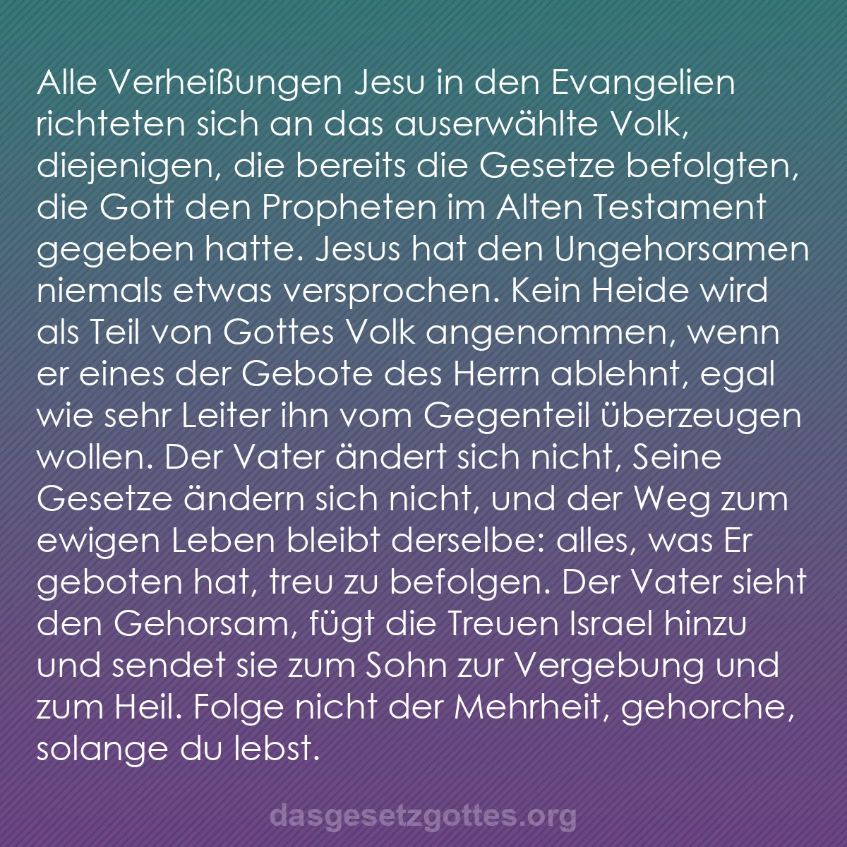b0264 - Beitrag über das Gesetz Gottes: Alle Verheißungen Jesu in den Evangelien richteten sich an das...