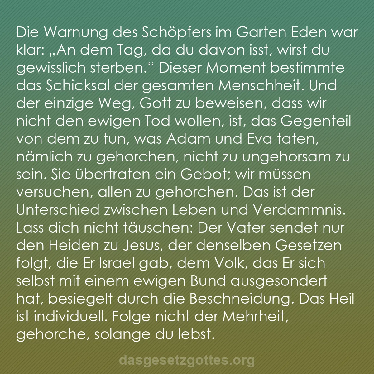 b0303 - Beitrag über das Gesetz Gottes: Die Warnung des Schöpfers im Garten Eden war klar: „An dem Tag,...