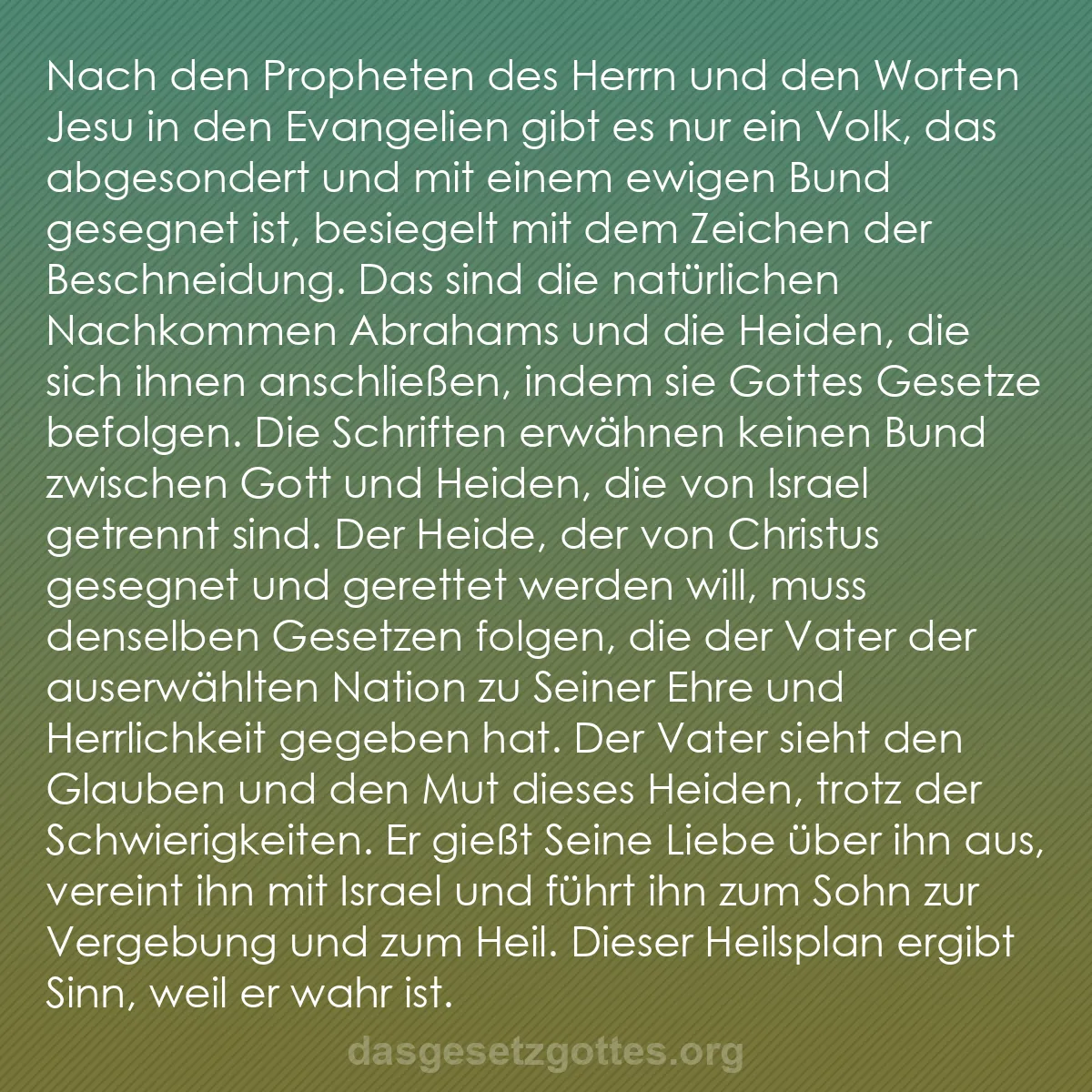 b0323 - Beitrag über das Gesetz Gottes: Nach den Propheten des Herrn und den Worten Jesu in den Evangelien...