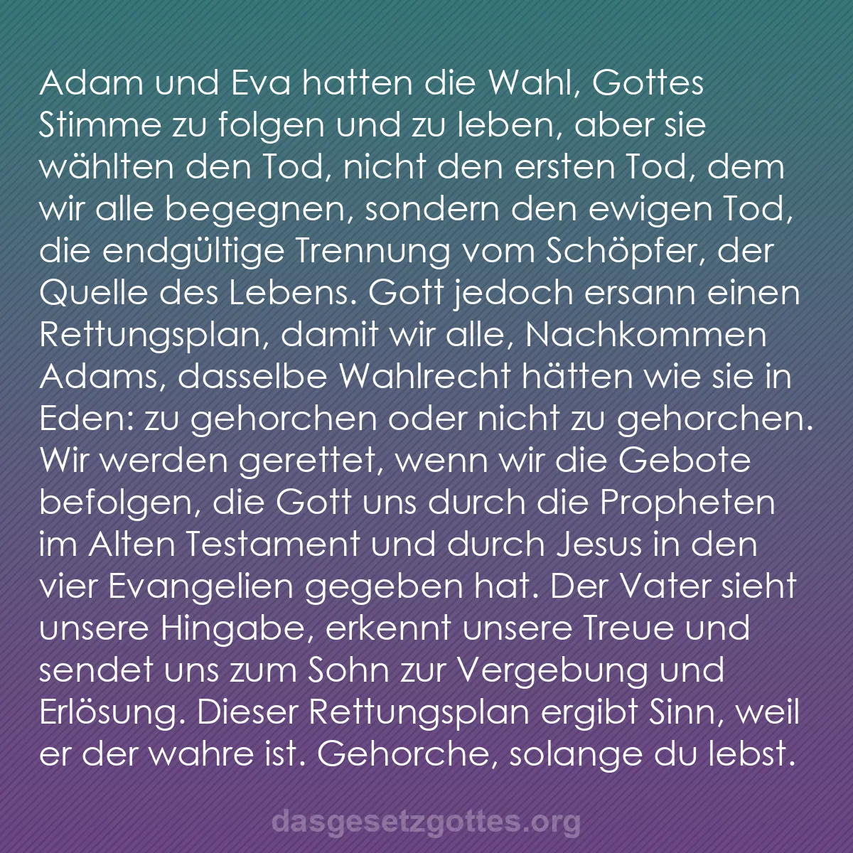 b0364 - Beitrag über das Gesetz Gottes: Adam und Eva hatten die Wahl, Gottes Stimme zu folgen und zu...