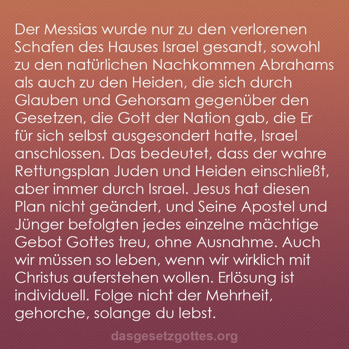 b0366 - Beitrag über das Gesetz Gottes: Der Messias wurde nur zu den verlorenen Schafen des Hauses Israel...