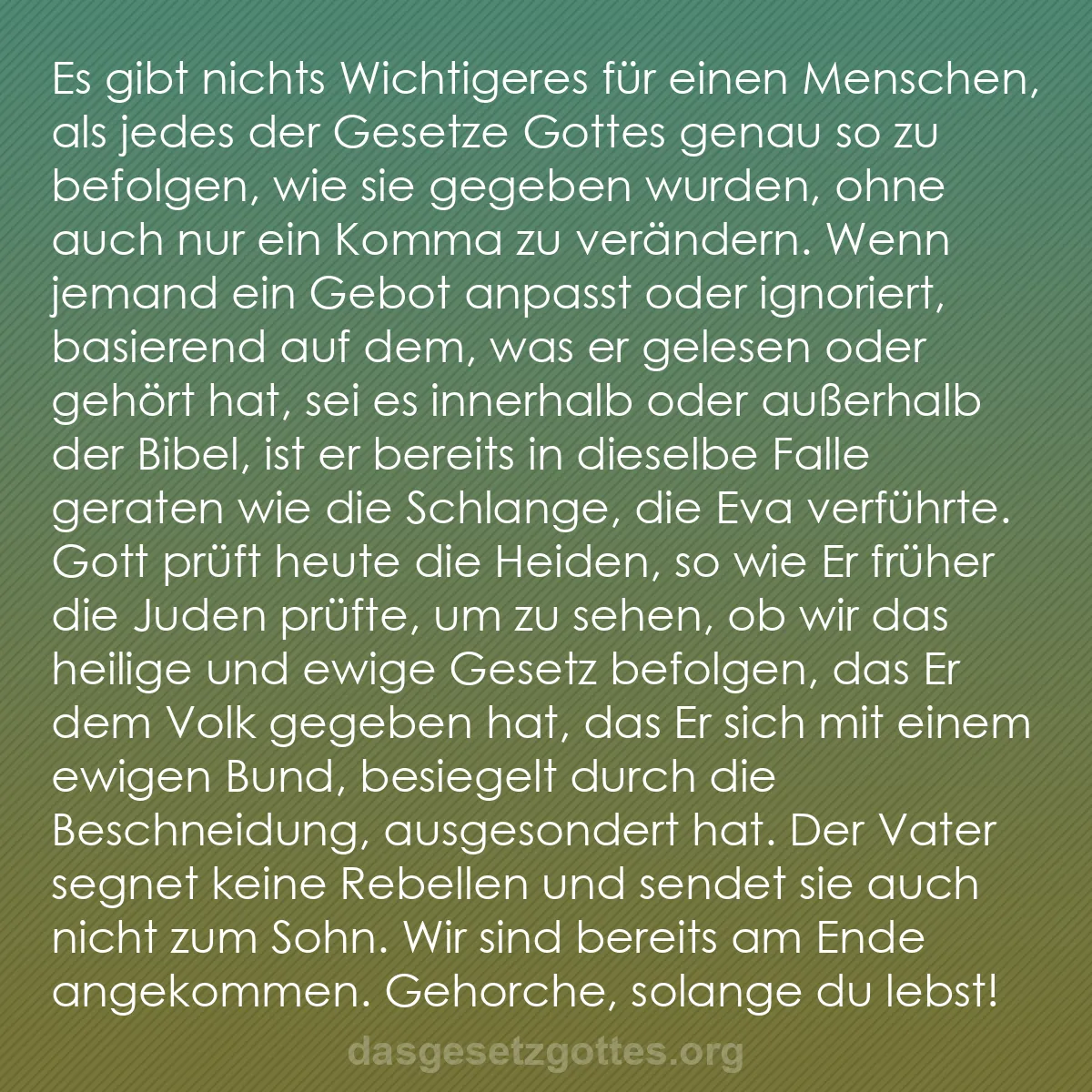 b0463 - Beitrag über das Gesetz Gottes: Es gibt nichts Wichtigeres für einen Menschen, als jedes der...
