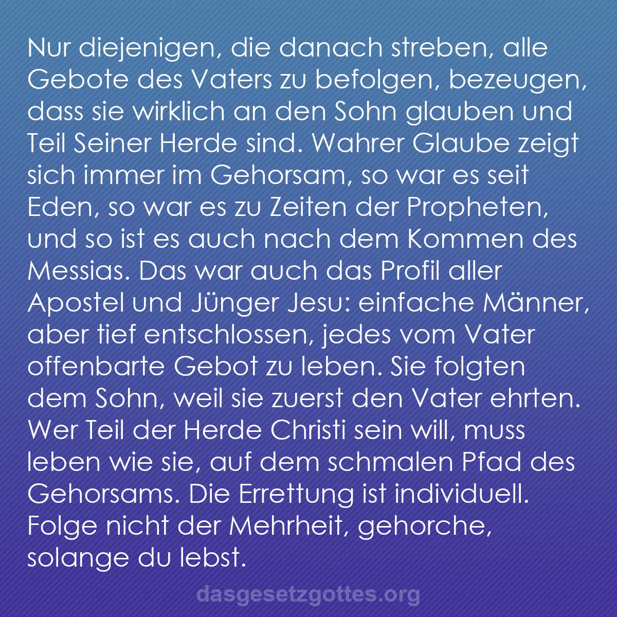 b0507 - Beitrag über das Gesetz Gottes: Nur diejenigen, die danach streben, alle Gebote des Vaters zu...