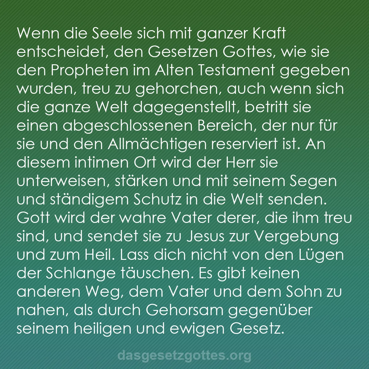 b0550 - Beitrag über das Gesetz Gottes: Wenn die Seele sich mit ganzer Kraft entscheidet, den Gesetzen...